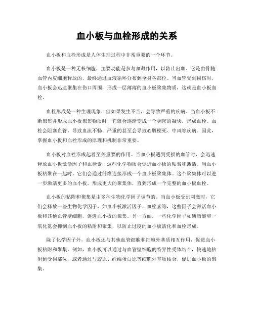 血小板与血栓形成的关系