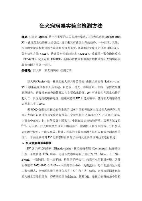 狂犬病病毒实验室检测方法