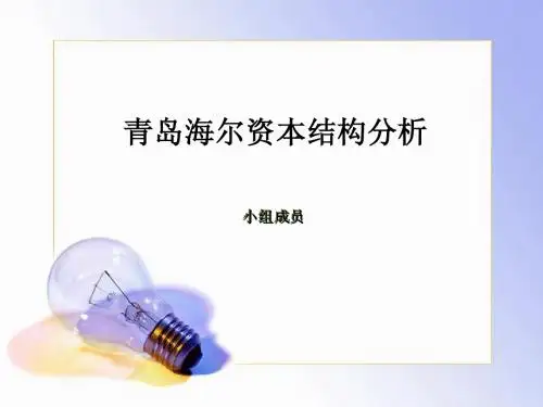 海尔资本结构分析2010