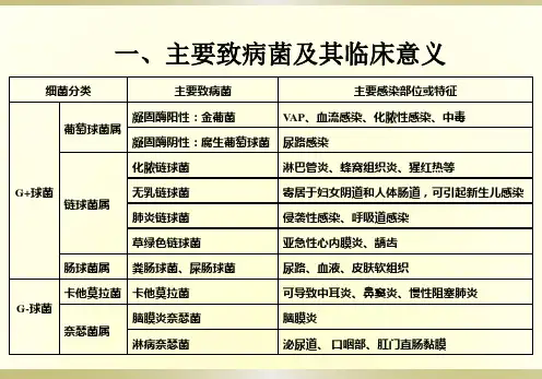 抗菌药物讲座知识点总结