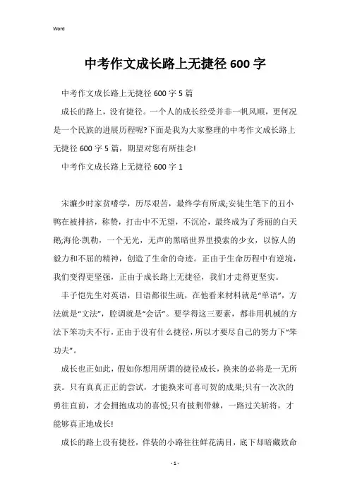 中考作文成长路上无捷径600字