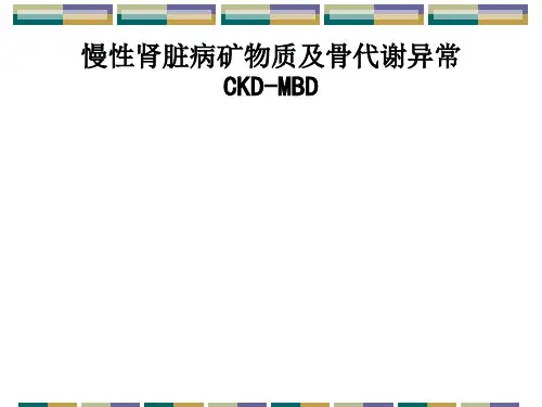 慢性肾脏病矿物质及骨代谢异常CKDMBD的规范治疗