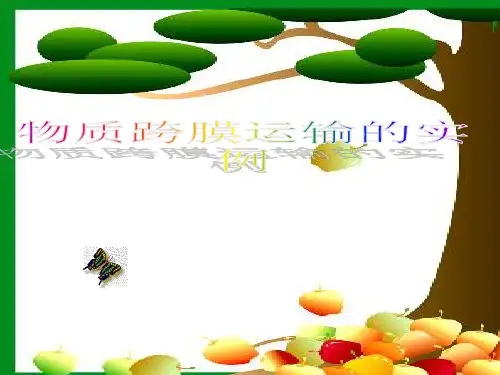 高中生物物质跨膜运输的实例公开课一等奖课件省赛课获奖课件