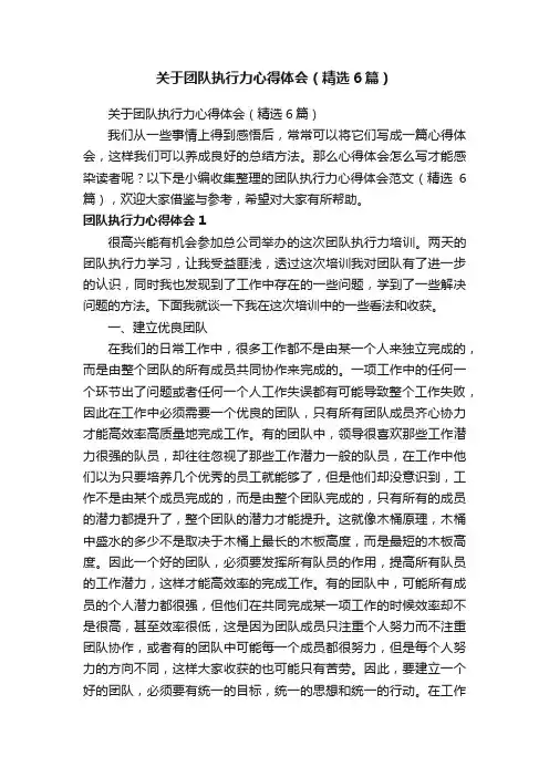 关于团队执行力心得体会（精选6篇）