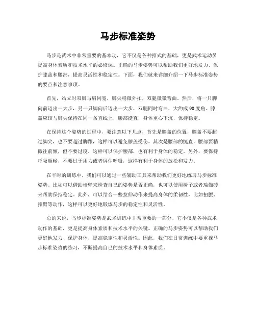 马步标准姿势