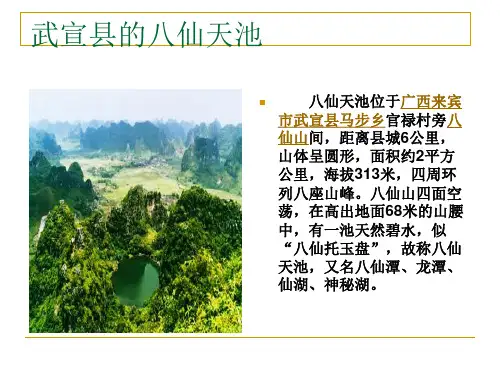 最新四年级语文上习作一PPT课件
