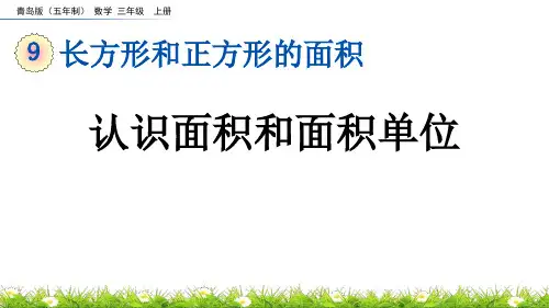《认识面积和面积单位》长方形和正方形的面积PPT课件
