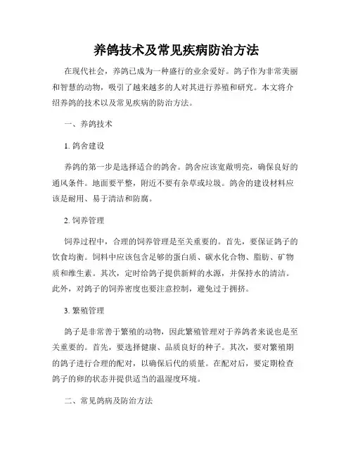 养鸽技术及常见疾病防治方法