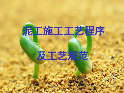 泥工施工工艺程序及工艺规范PPT