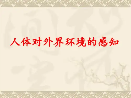 生物《人体对外界环境的感知 (眼和视觉)》
