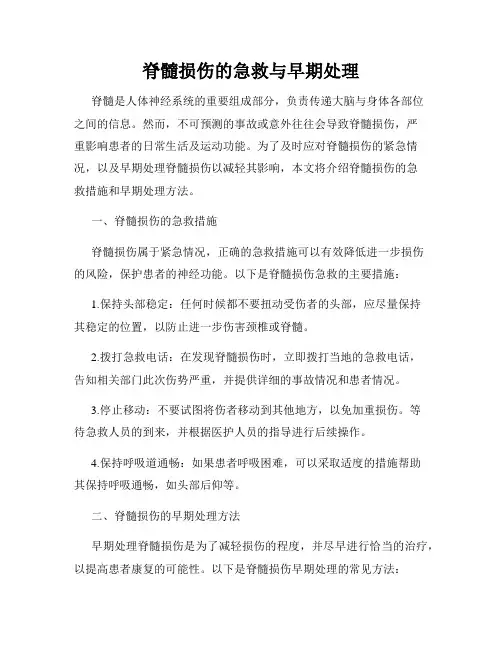 脊髓损伤的急救与早期处理