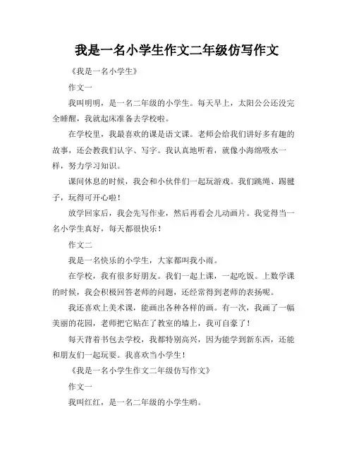 我是一名小学生作文二年级仿写作文