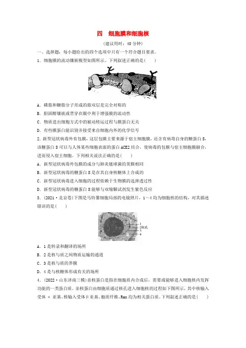 2024版高考生物一轮总复习课时质量评价4细胞膜和细胞核