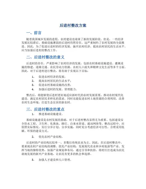 后进村整改方案