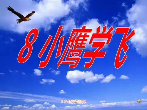 小学二年级上学期语文《小鹰学飞》PPT课件