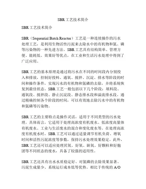 SBR工艺技术简介