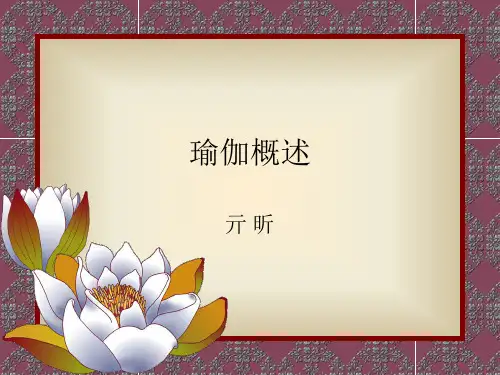 瑜伽概述