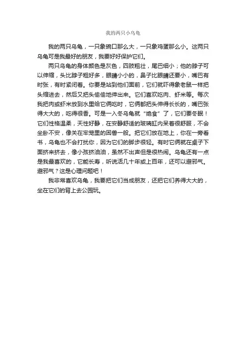 作文：我的两只小乌龟