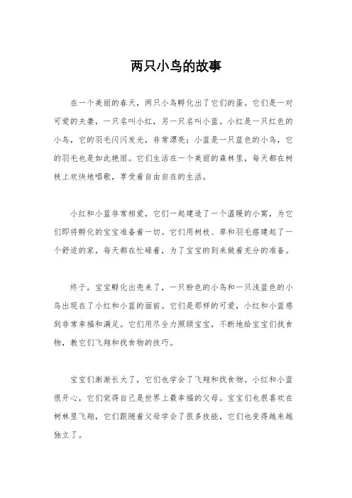 两只小鸟的故事