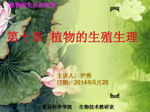第十章 植物的生殖生长