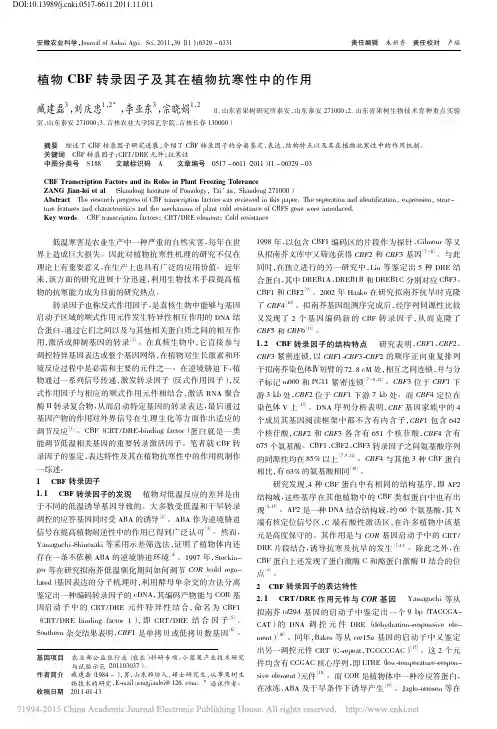 植物CBF转录因子及其在植物抗寒性中的作用_臧建磊