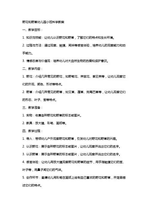 野花和野草幼儿园小班科学教案