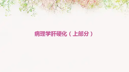 病理学肝硬化(上部分)