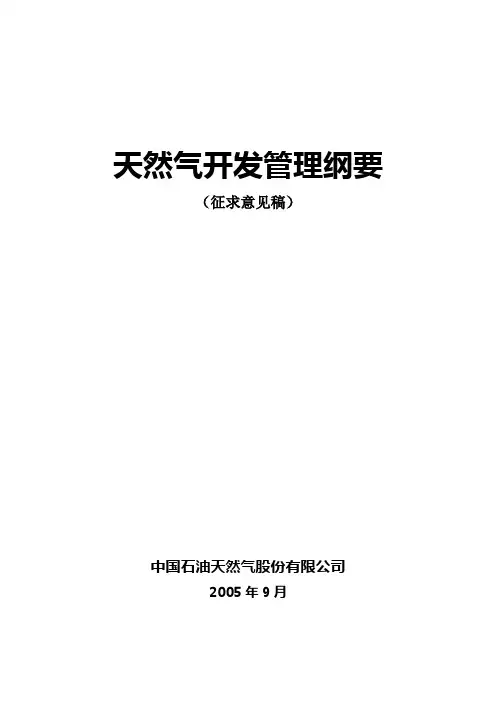 天然气开发管理纲要