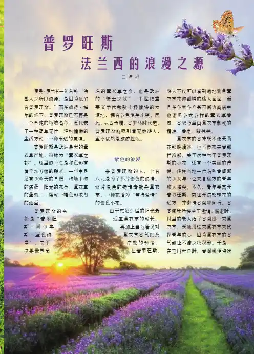 普罗旺斯法兰西的浪漫之源