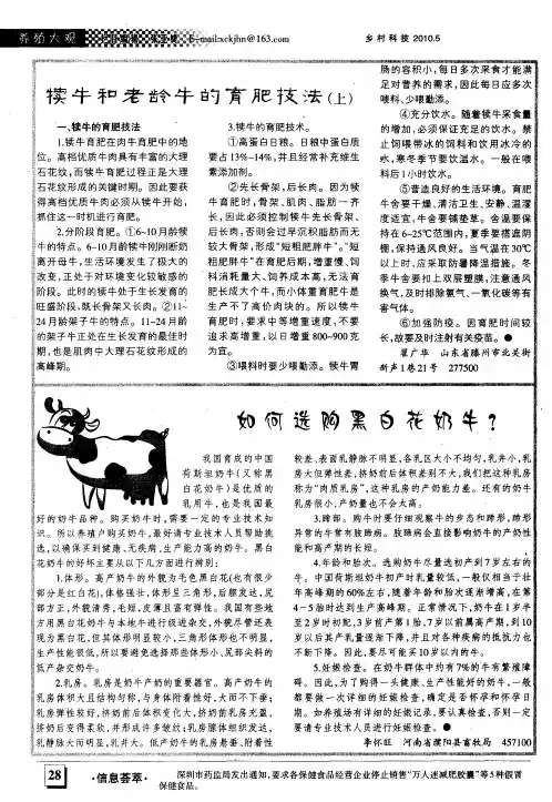 如何选购黑白花奶牛？