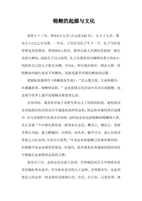 锦鲤的起源与发展