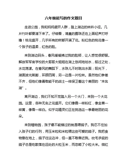 六年级能写的作文题目