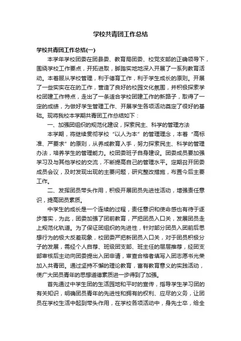 学校共青团工作总结