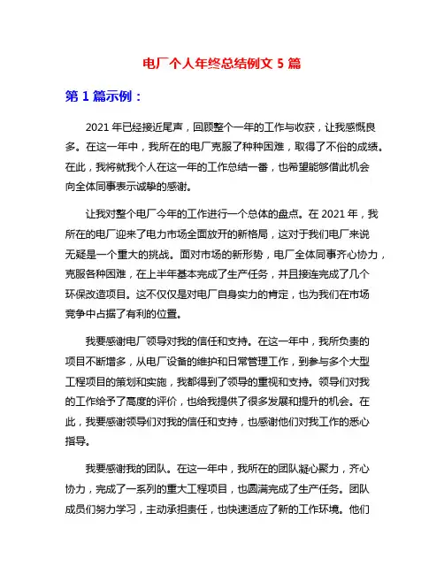 电厂个人年终总结例文5篇