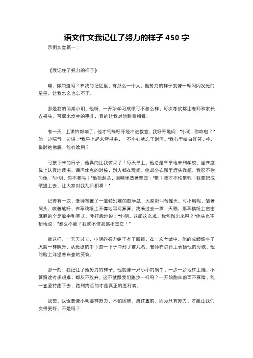 语文作文我记住了努力的样子450字