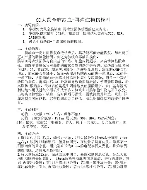 中国药科大学 病理生理设计实验