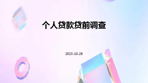 个人贷款贷前调查