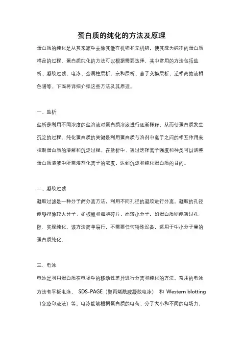 蛋白质的纯化的方法及原理