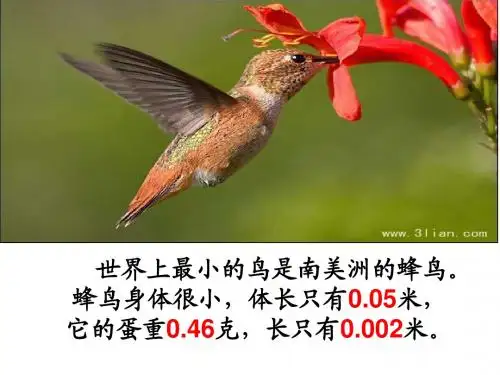 青岛版版数学四年级下册《小数的意义》PPT课件0