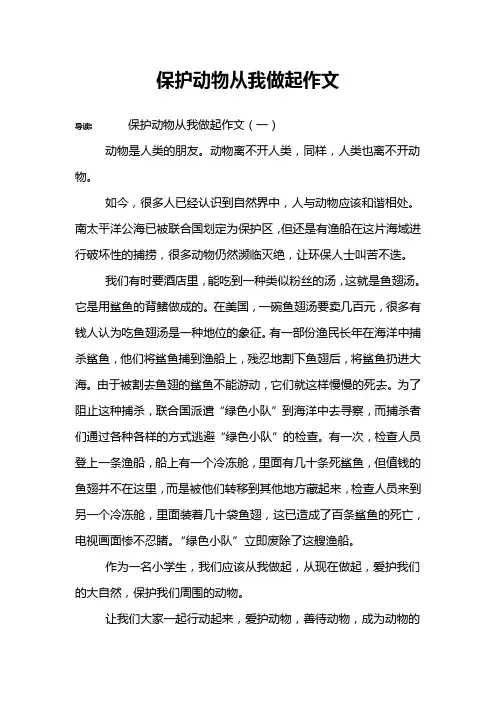 保护动物从我做起作文