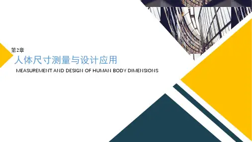 人体工程学第2章 人体尺寸测量与设计应用