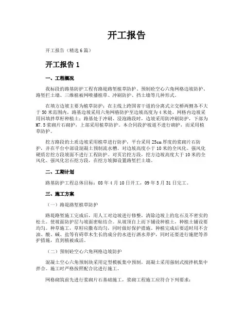 开工报告-专业文档!
