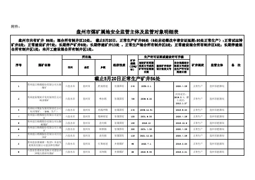 盘州安办通(2019)26号：附件