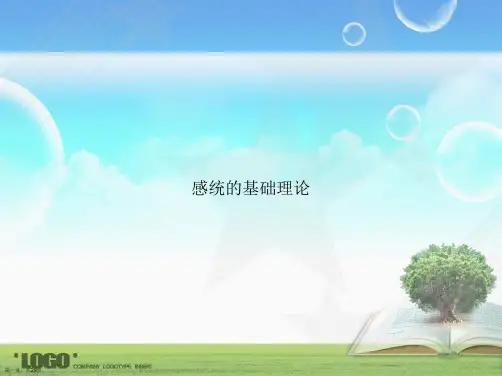 感统的基础理论讲课文档