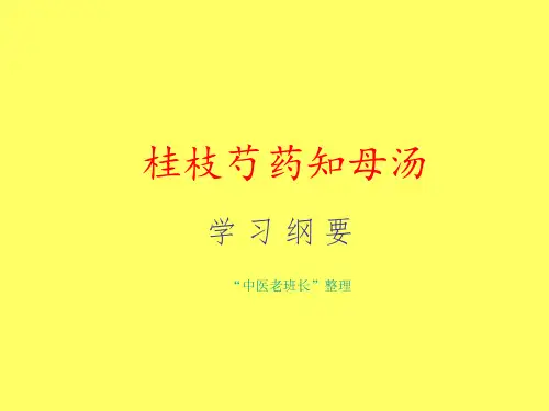 桂枝芍药知母汤