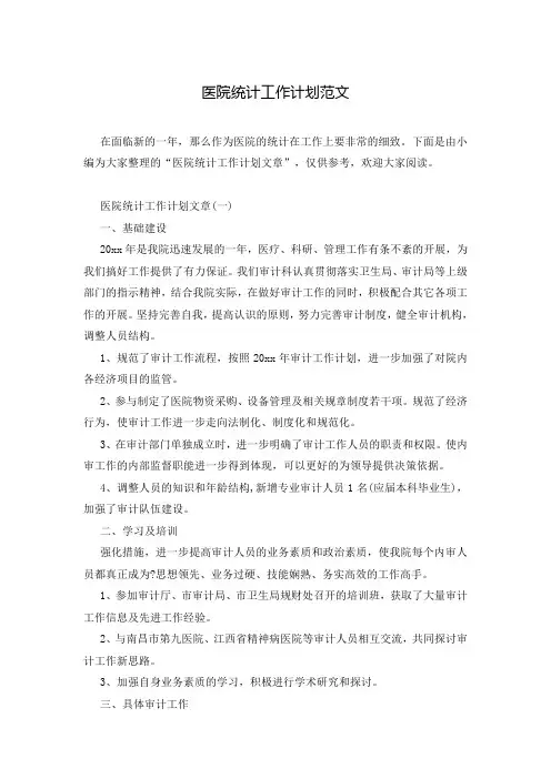 医院统计工作计划范文