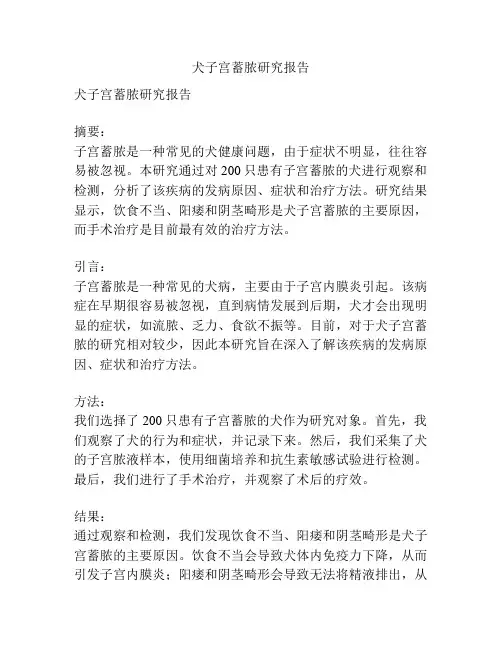 犬子宫蓄脓研究报告