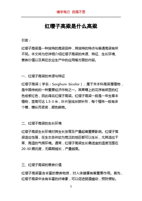 红缨子高粱是什么高粱
