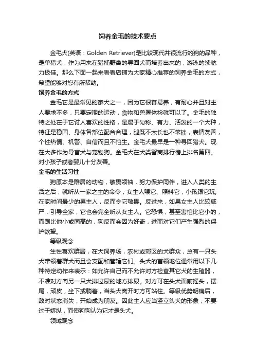 饲养金毛的技术要点
