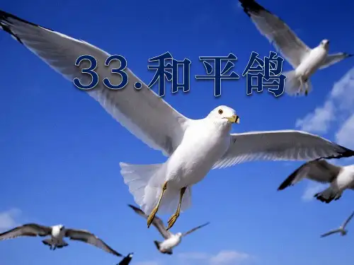 《和平鸽》PPT精选教学课件